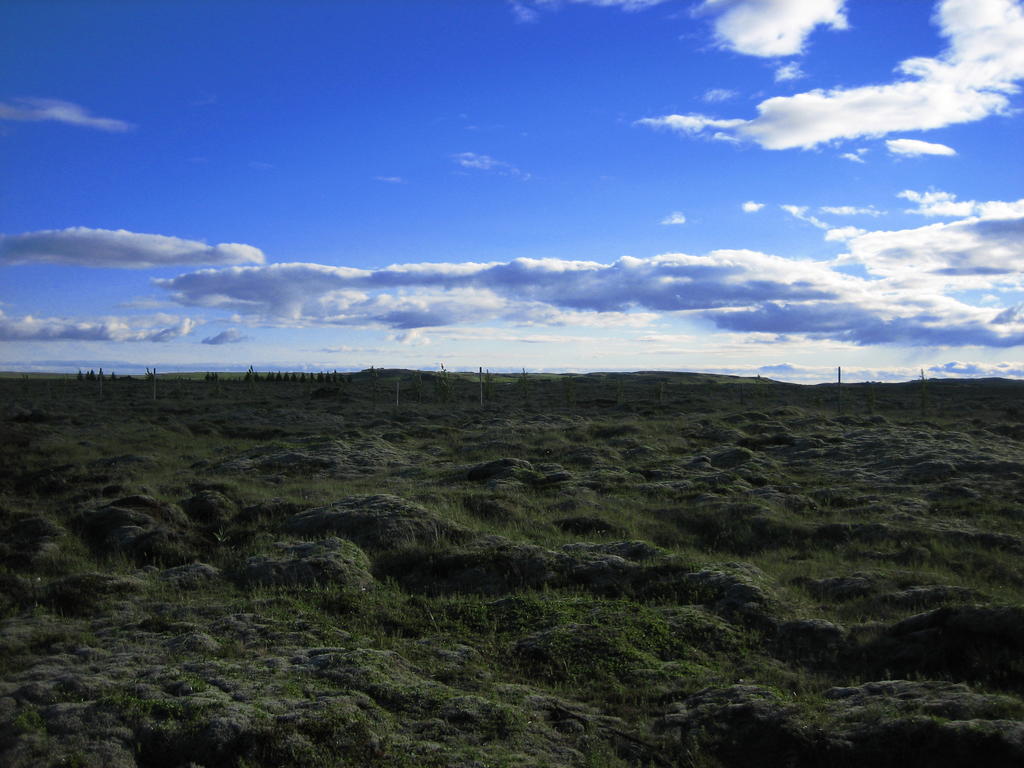 Icelandic Cottages Hraunmork Ngoại thất bức ảnh